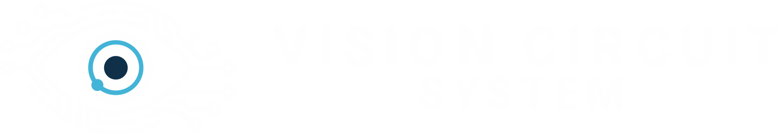 Vision Circuit System